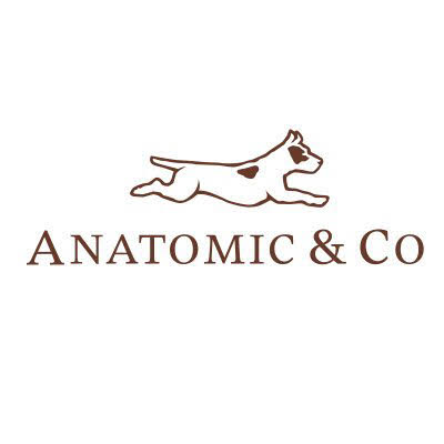 Anatomic & Co