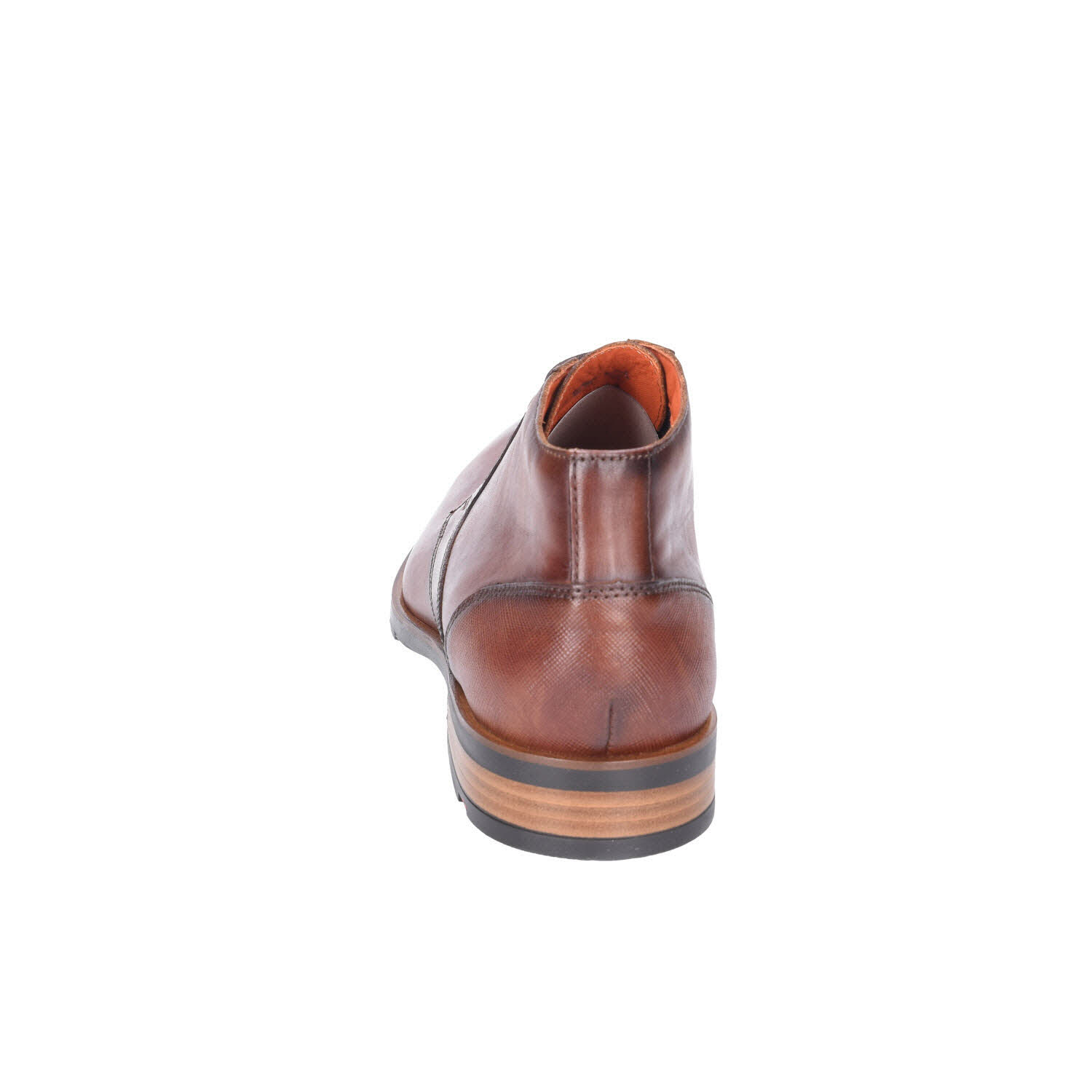 Lloyd Jeffrey Brandy braun Weite F Bild 14