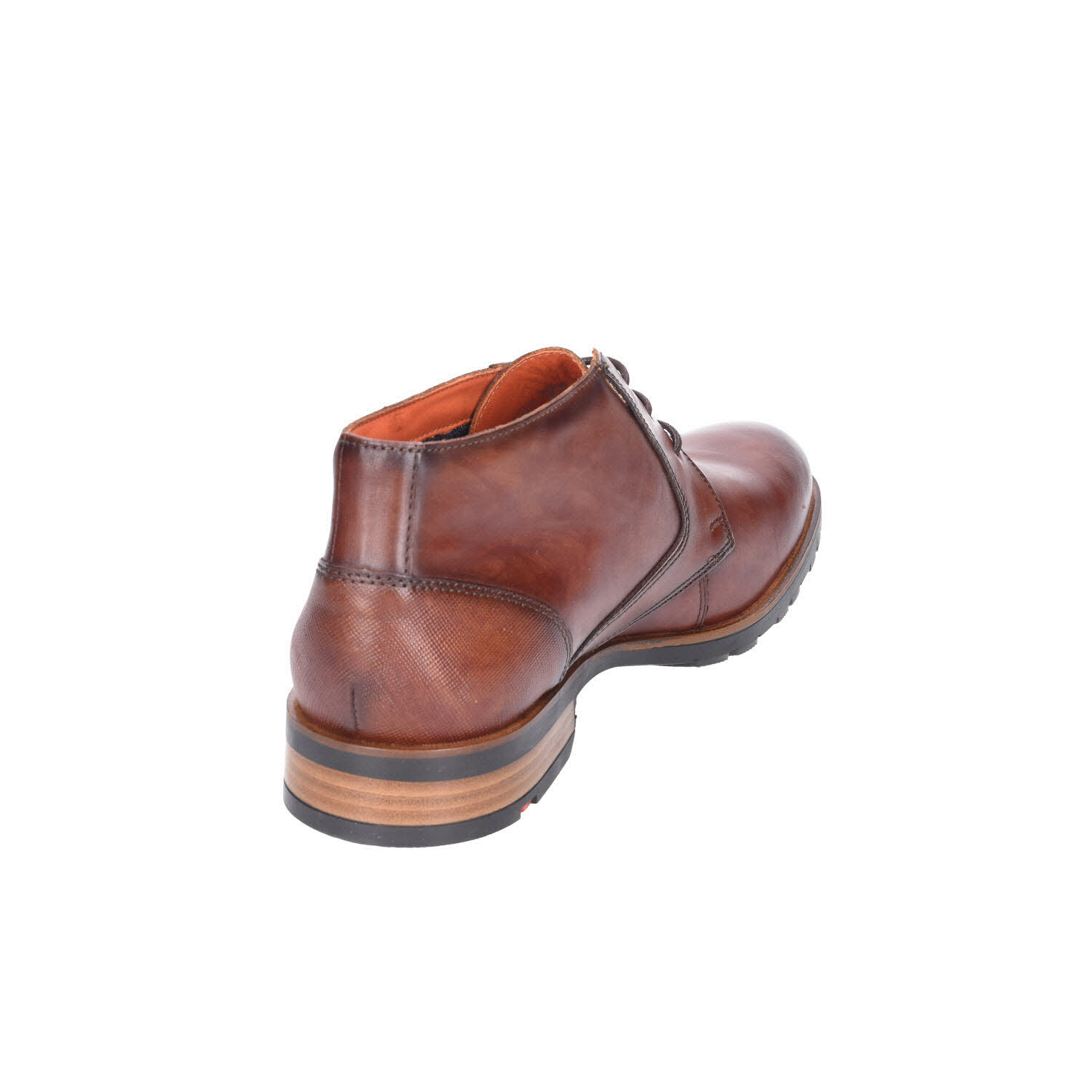 Lloyd Jeffrey Brandy braun Weite F Bild 15