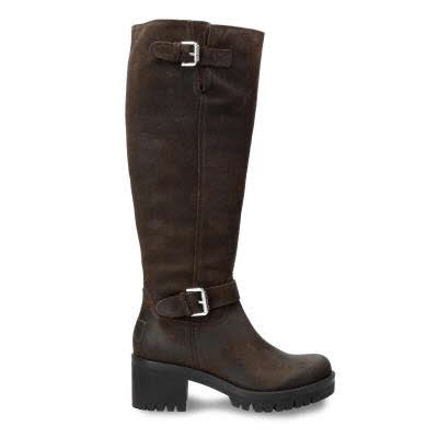 Panama Jack Phaedra B1 Marron Suede braun