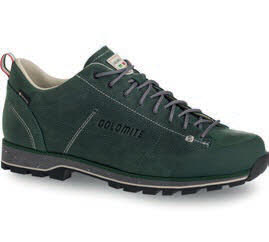 Dolomite 54 LOW FG EVO GTX Gore Tex Dark Green grün