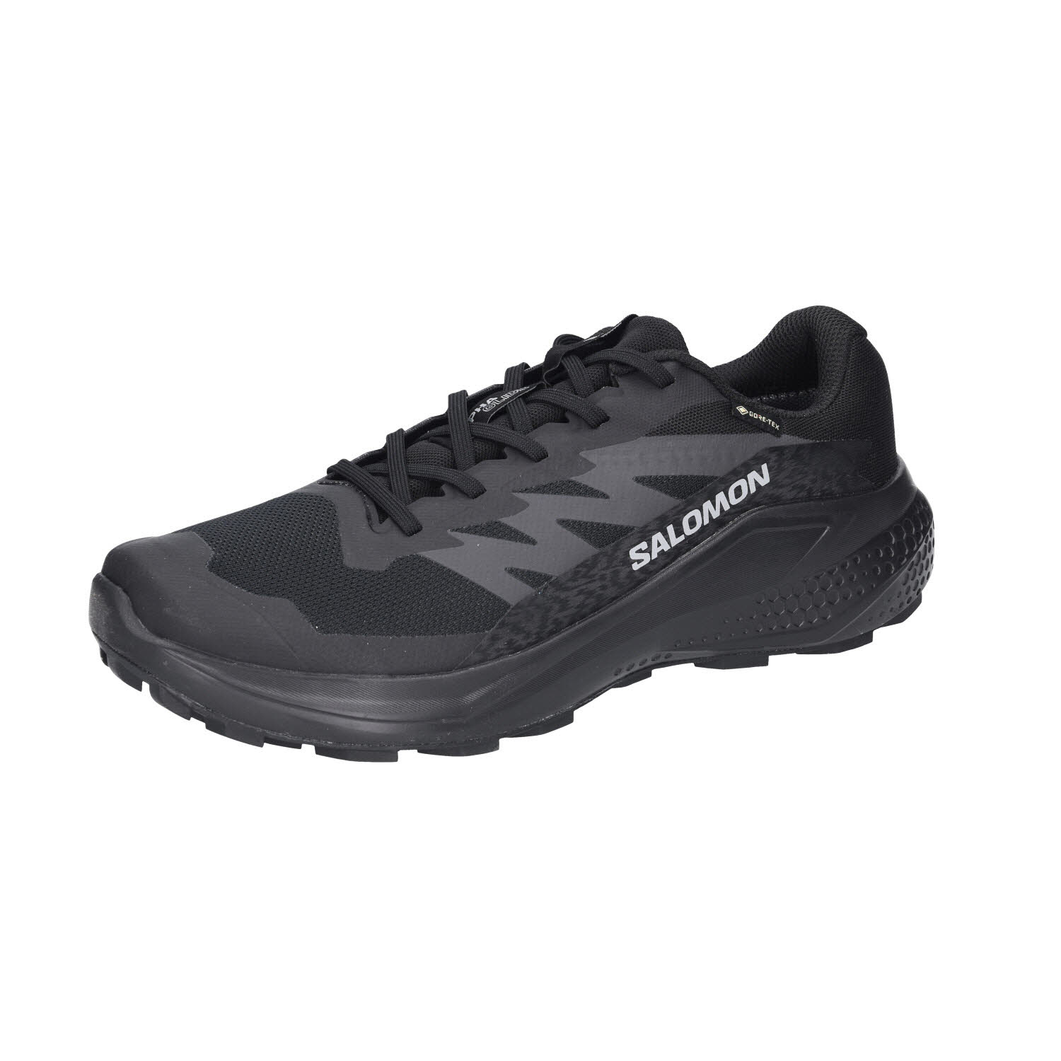 Salomon ALPHAGLIDE GTX Black Asphalt schwarz