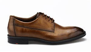 Lloyd 2552903