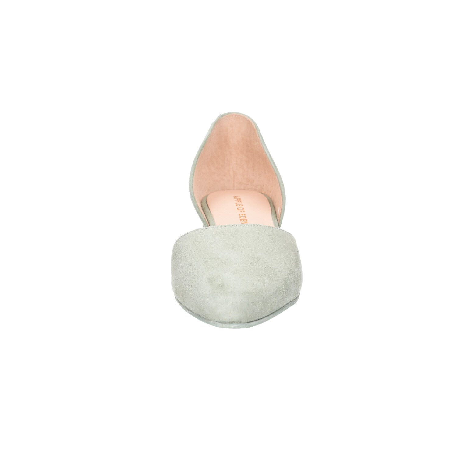 Apple of Eden Blondie Kina Salvia grün Bild 5